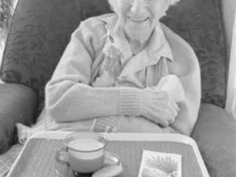 Hillcrest Rest Home - Nursing Home in Havelock North, Hawke's Bay District Health Board photo 1
