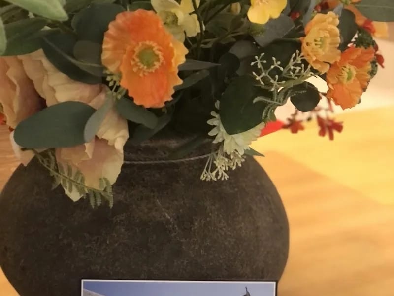 Zorgcentrum Hieronymus - Begeleid Wonen in Weert, Limburg photo 9