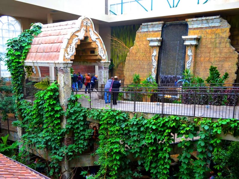 Aviary House in Birmingham, England photo 2