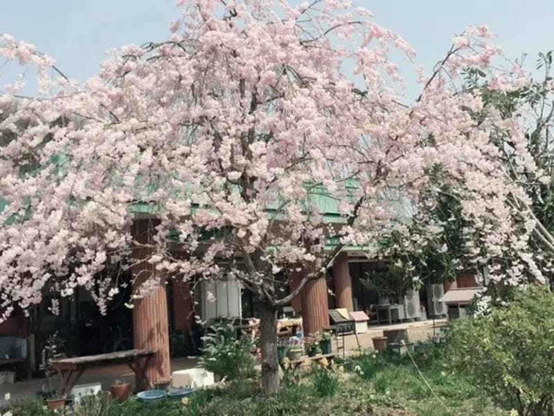 グループホーム ふじいと - 認知症ケア in 栃木市, 栃木県 photo 1