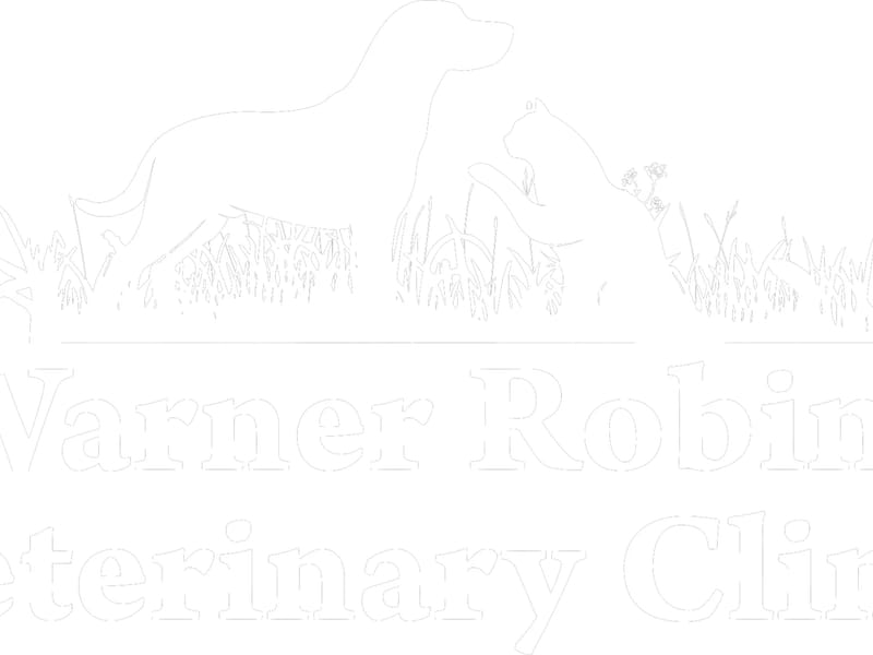 ADVANCED WELLNESS CARE P.C. - Home Health Nursing in Warner Robins, GA photo 2