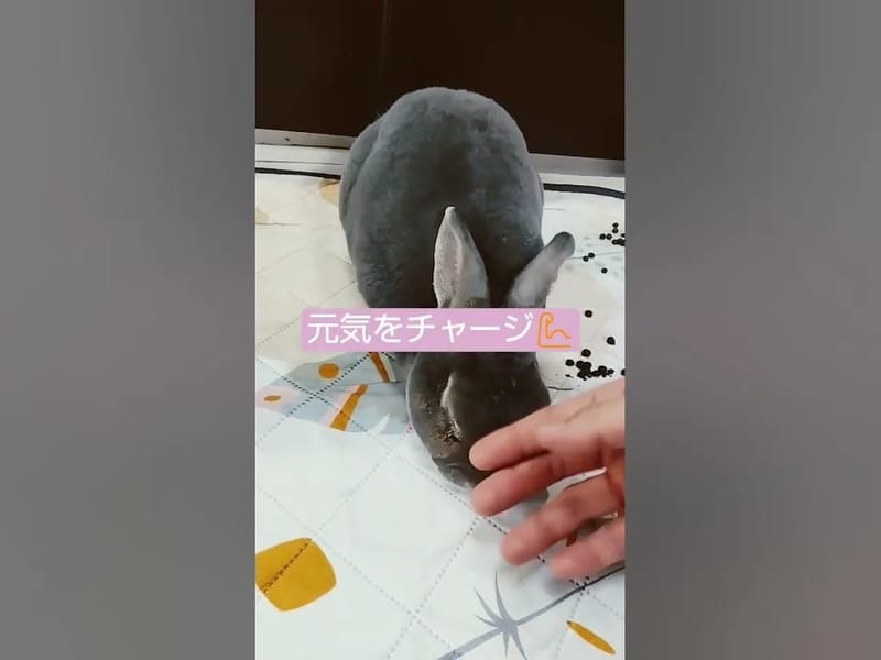 ふくなかま居宅介護支援センター - 有料老人ホーム in 京都市山科区, 京都府 photo 2