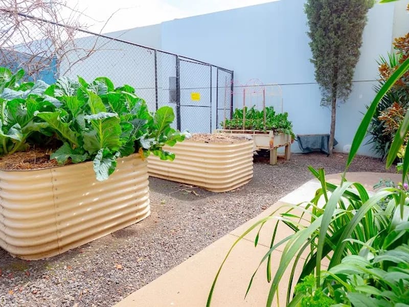 James Barker House - Nursing Home in Footscray, VIC photo 9