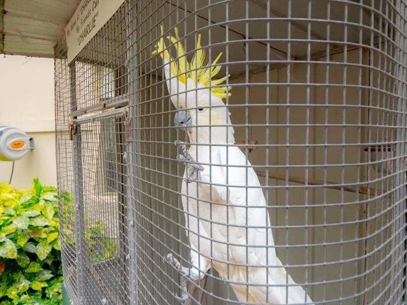 James Barker House - Nursing Home in Footscray, VIC photo 3