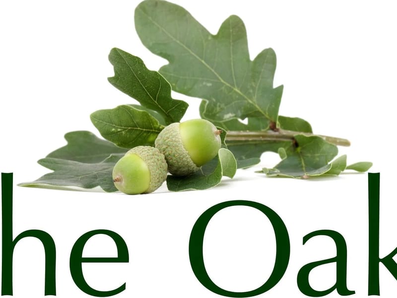 The Oaks Residential Care Home - Nursing Home in Upminster, England photo 3