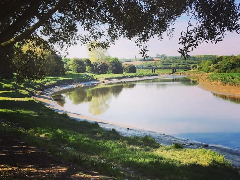 Raychantpat Company Limited - In-Home Care in Barnstaple, England photo 2