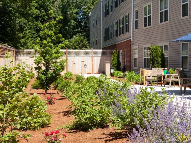 The Residence At Pearl Street - Assisted Living in Reading, MA photo 5