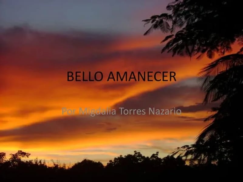 Bello Amanecer - Hogar de Ancianos in Providencia, Región Metropolitana de Santiago photo 1