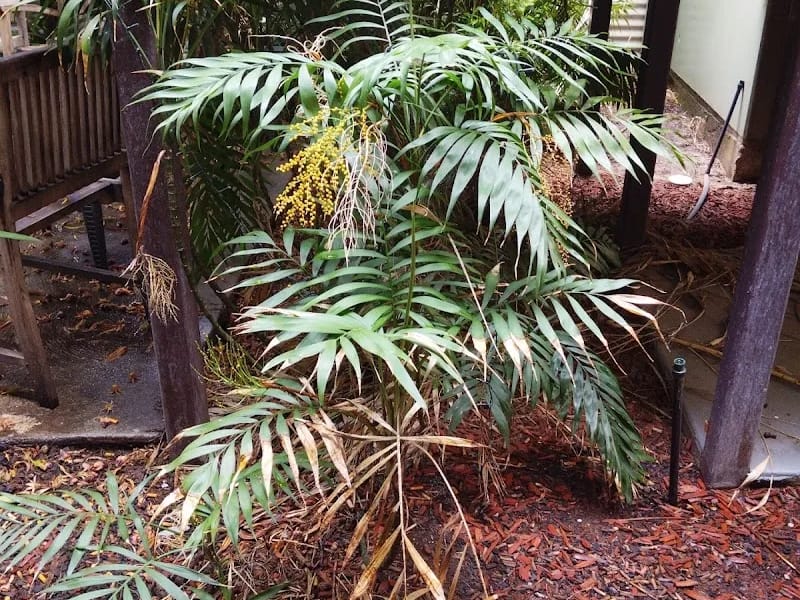 Prague House - Assisted Living in Kew, VIC photo 2