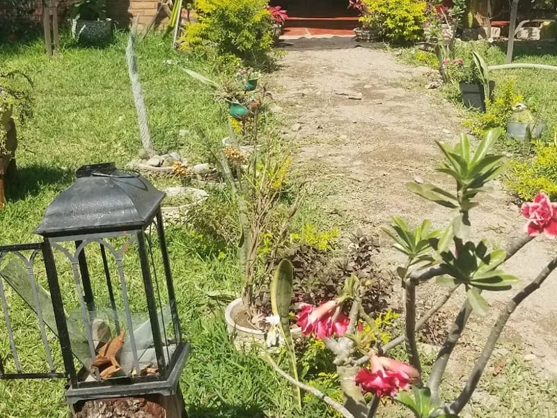 CASA DE DIA DE ADULTOS MAYORES DE CHAHUITES OAXACA - Hogar de Ancianos in Chahuites, Oaxaca photo 6