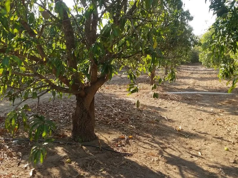 CASA DE DIA DE ADULTOS MAYORES DE CHAHUITES OAXACA - Hogar de Ancianos in Chahuites, Oaxaca photo 9
