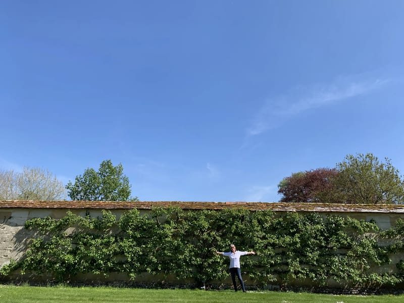 Cherry Tree Gardens - Nursing Home in Houghton Le Spring, England photo 3