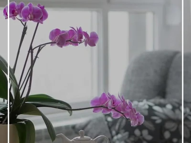 Allen Harbor Senior Living - Assisted Living in South Burlington, VT photo 1