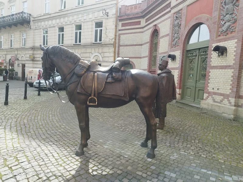 Rada Powiatu Przemyskiego - Dom pomocy społecznej in Przemyśl, Przemyśl photo 8