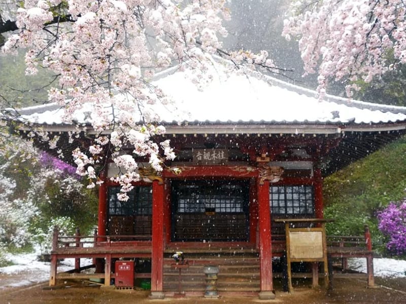 あすなろ毛呂山 - 有料老人ホーム in 毛呂山町, 埼玉県 photo 1