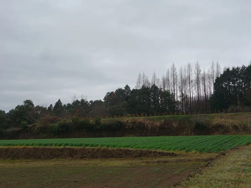 やはたの杜 - 特別養護老人ホーム in 雲仙市, 長崎県 photo 1