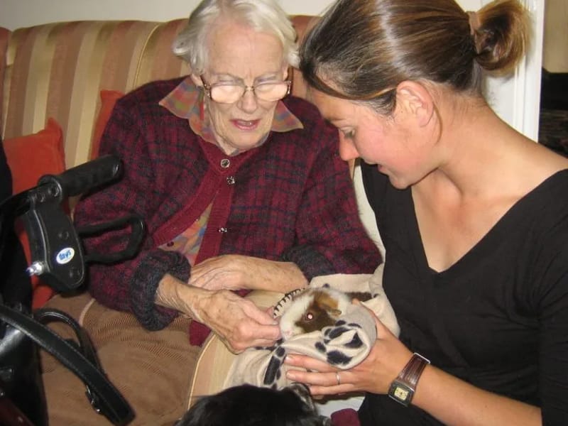 Castle Grove Nursing Home - Nursing Home in Tiverton, England photo 3