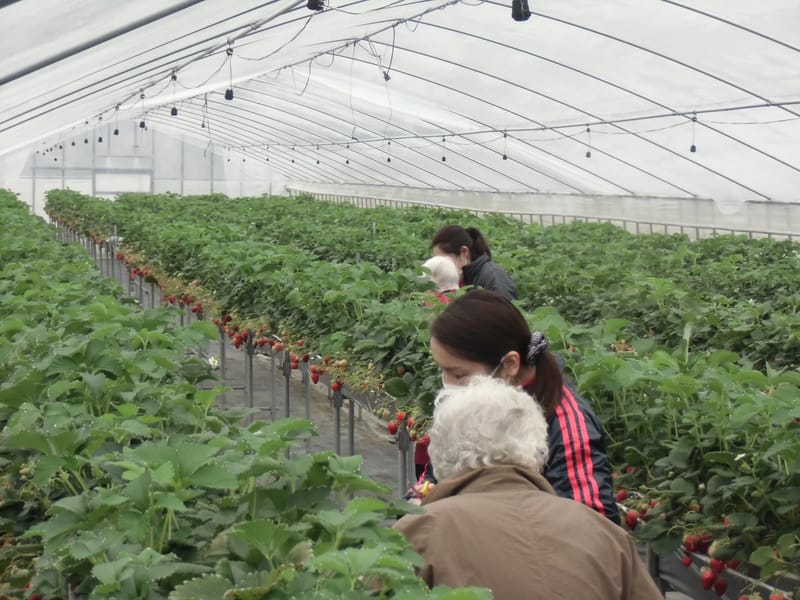 いちごケアプラン - 有料老人ホーム in 豊島区, 東京都 photo 1