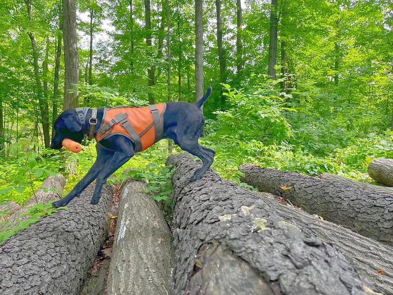 ARMOR HOME HEALTH, INC. - Home Health Nursing in Upland, CA photo 2