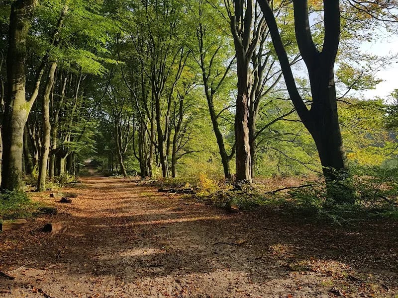 Oranje Nassau's Oord - Verpleeghuis in Wageningen, Gelderland photo 1