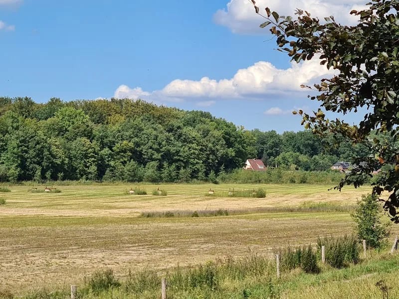 Oranje Nassau's Oord - Verpleeghuis in Wageningen, Gelderland photo 5