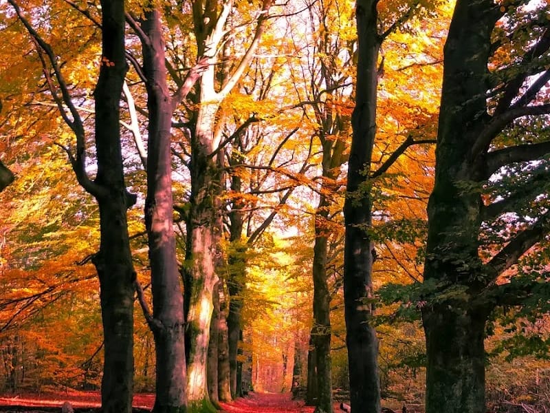 Oranje Nassau's Oord - Verpleeghuis in Wageningen, Gelderland photo 2