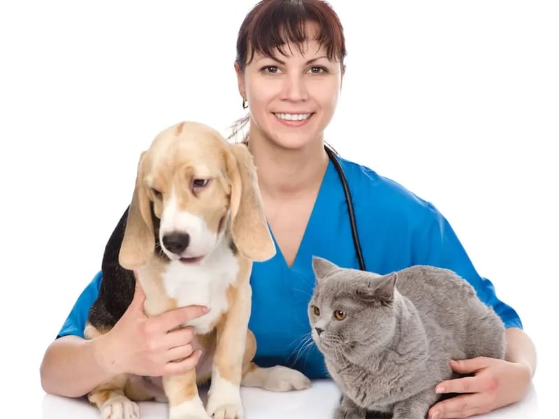 Aspacare Wellness & Health Care Services - Home Health Nursing in Bear, DE photo 3