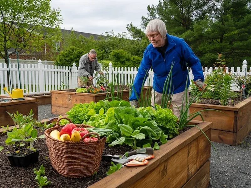 Applewood Village, Inc - Nursing Home in Freehold, NJ photo 2