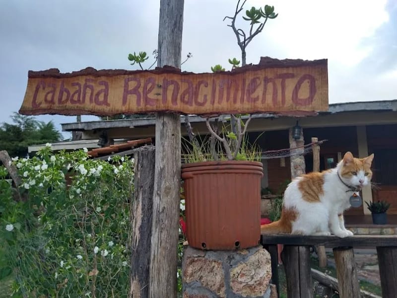 CASA DE DIA PARA ADULTOS MAYORES DE ROSA BLANCA - Hogar de Ancianos in Jala, Nayarit photo 7
