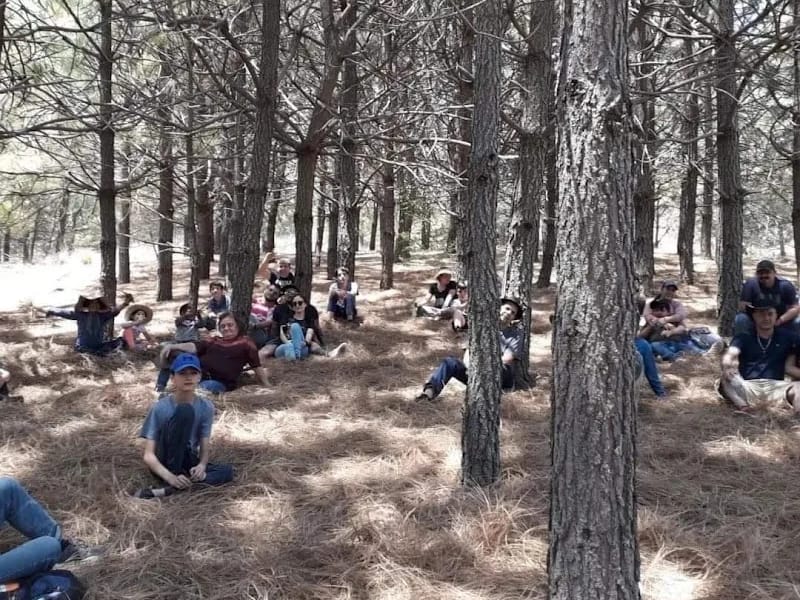CASA DE DIA PARA ADULTOS MAYORES DE ROSA BLANCA - Hogar de Ancianos in Jala, Nayarit photo 3