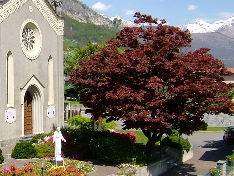 Casa Sacro Cuore - Casa di Riposo in Pianello Del Lario, Lombardia photo 1