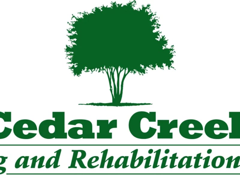 Cedar Park Nursing Home - Nursing Home in Bath, England photo 1