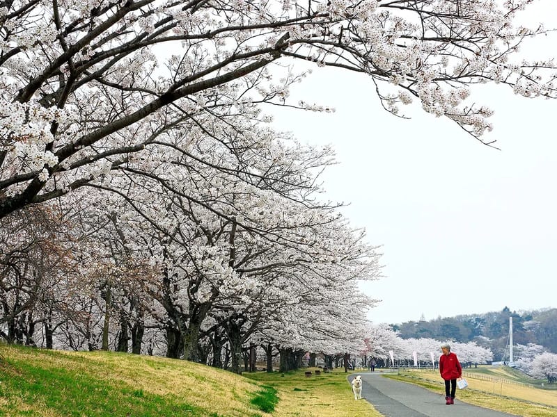 つきみの杜 - 有料老人ホーム in さくら市, 栃木県 photo 3
