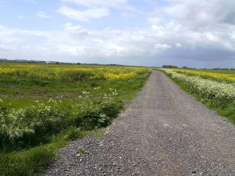Humberston in Grimsby, England photo 3
