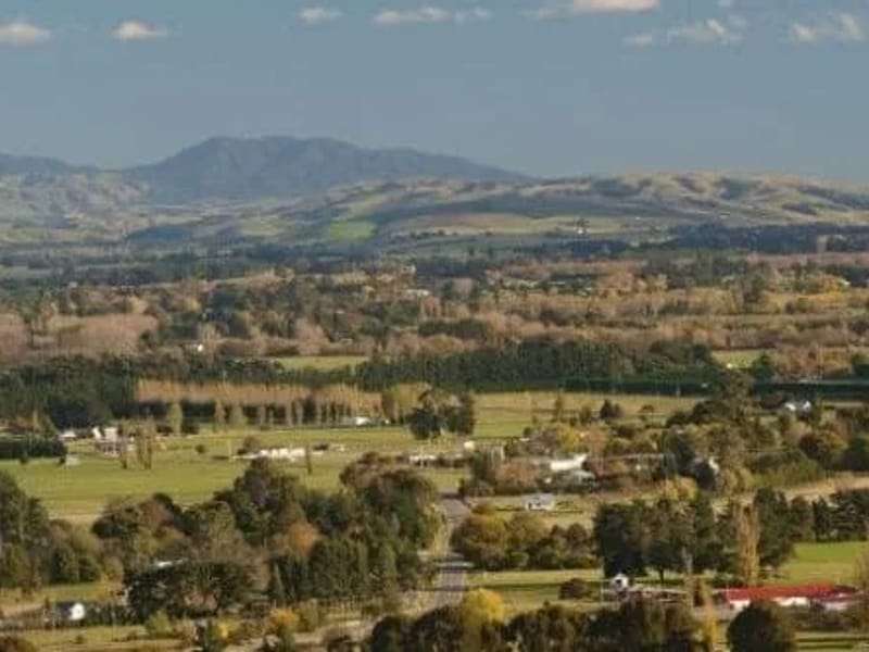 Wairarapa Village - Assisted Living in Masterton, Wairarapa District Health Board photo 3