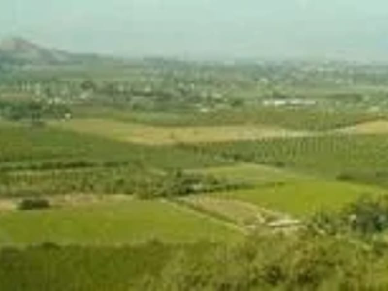 Valley Of Dreams - Vida Asistida in Calera De Tango, Región Metropolitana de Santiago photo 2