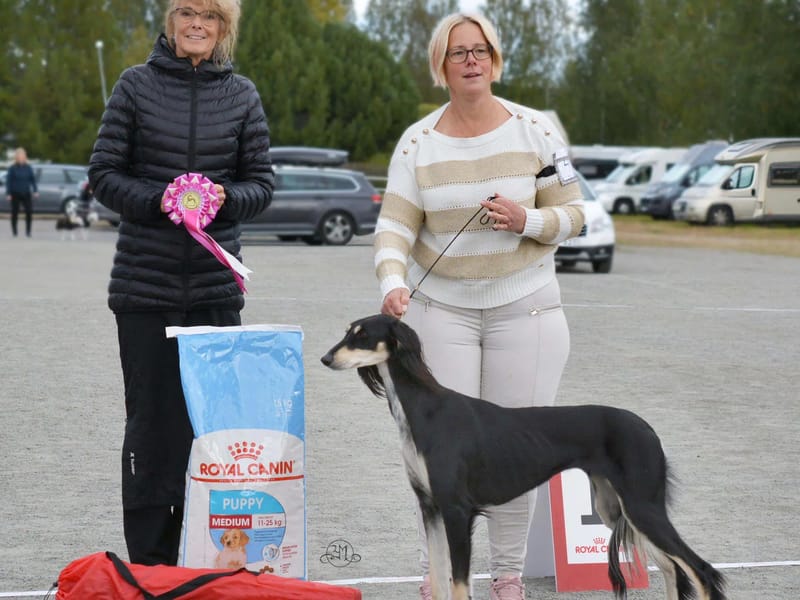 Centrum Norra - Äldreboende in Boden, Norrbotten County photo 3