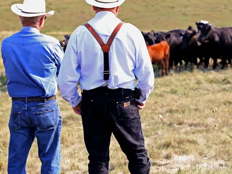 AMERICAN SENIORS - Home Health Nursing in Aberdeen, SD photo 1
