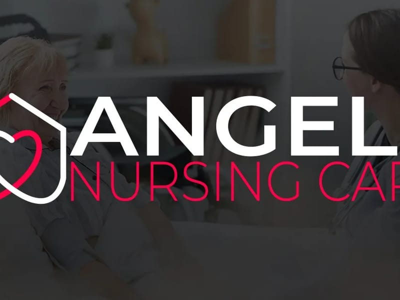 Americas Nursing Angels Home Care LLC - Home Health Nursing in Temple Terrace, FL photo 2