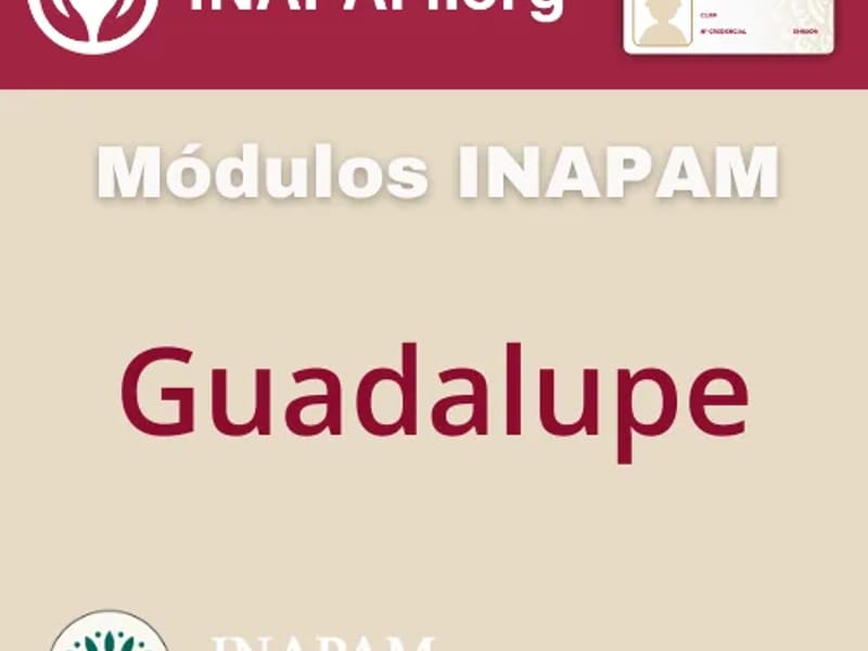 INAPAM - Hogar de Ancianos in Guadalupe, Nuevo León photo 1
