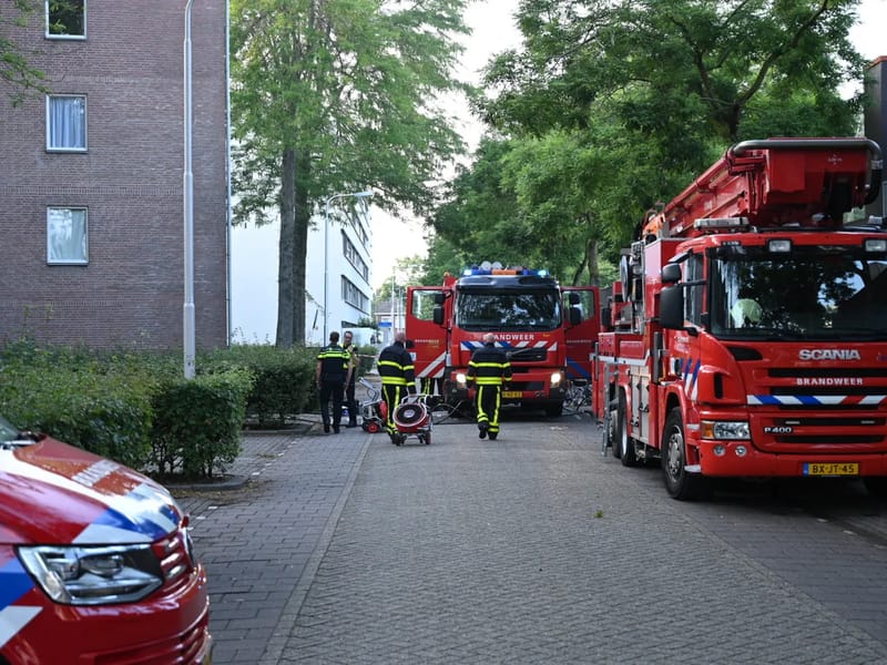 Den Herdgang - Begeleid Wonen in Tilburg, Noord-Brabant photo 3