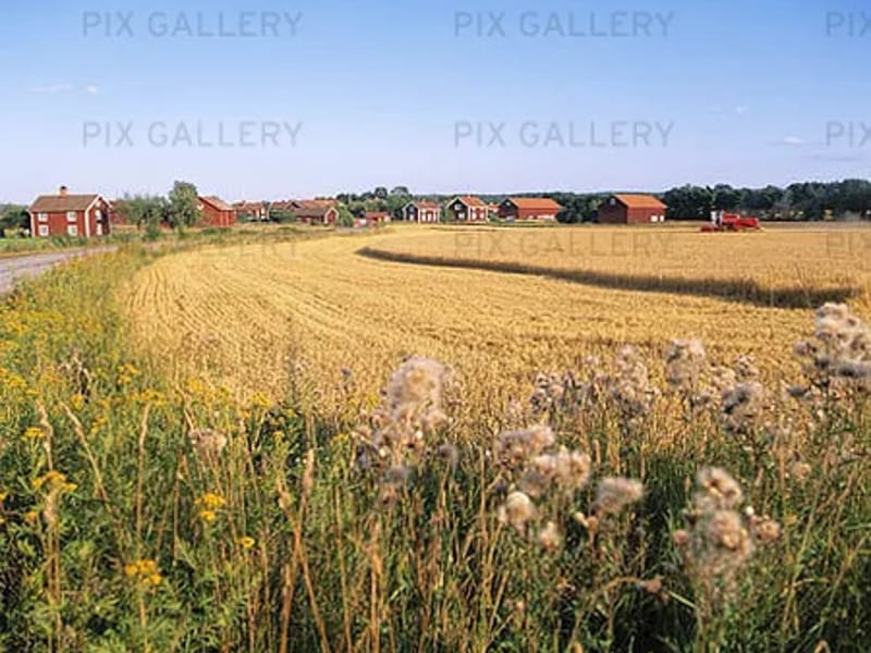 Humlegården somatik - Äldreboende in Vingåker, Södermanlands län photo 2