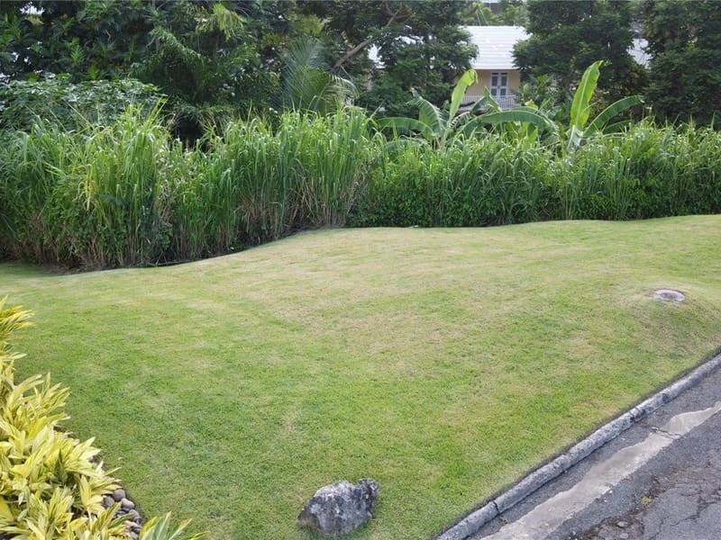 Residencia Para Adultos Mayores Flor De Liz - Vida Asistida in SAN JUAN, SAN JUAN photo 1