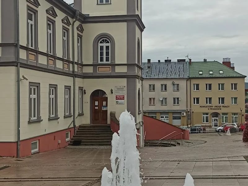 Rada Miasta w Brzozowie - Pielęgniarstwo domowe in Brzozów, Brzozów photo 8