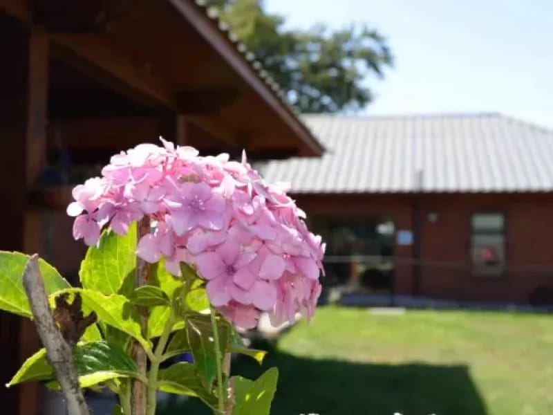 Casa De Reposo Los Jardines De San Juan - Hogar de Ancianos in Los Ángeles, Región del Biobío photo 2