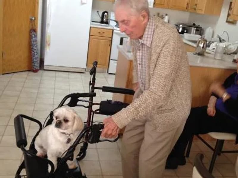 Westhill Care Home - Assisted Living in Caterham, England photo 3