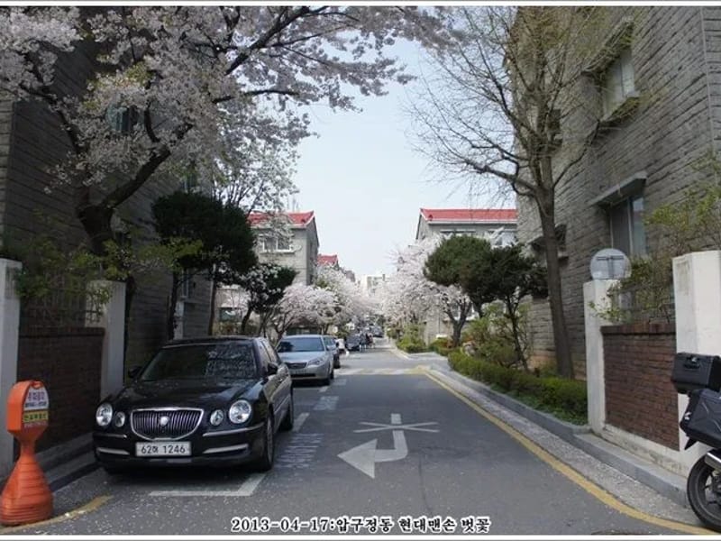 (주)강남제일 - 방문요양 in 강남구, 서울특별시 photo 3