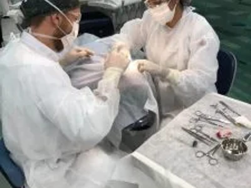 SOUZA PIRES ODONTOLOGIA - Cuidado Domiciliar in Governador Valadares, MG photo 2