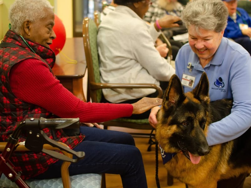 Alzheimer's & Dementia Services Of Memphis INC. - Adult Day Care in MEMPHIS, TN photo 3