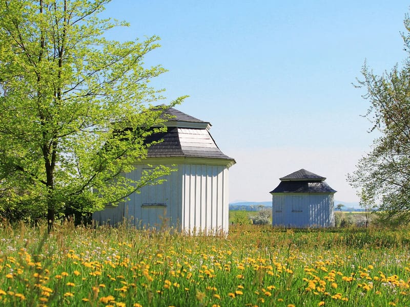 ASB-Altentagespflege Herrnhut - Tagespflege in Herrnhut, Sachsen photo 1